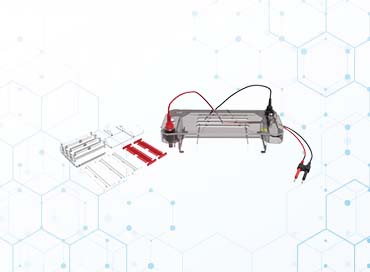 Electronic Pipette